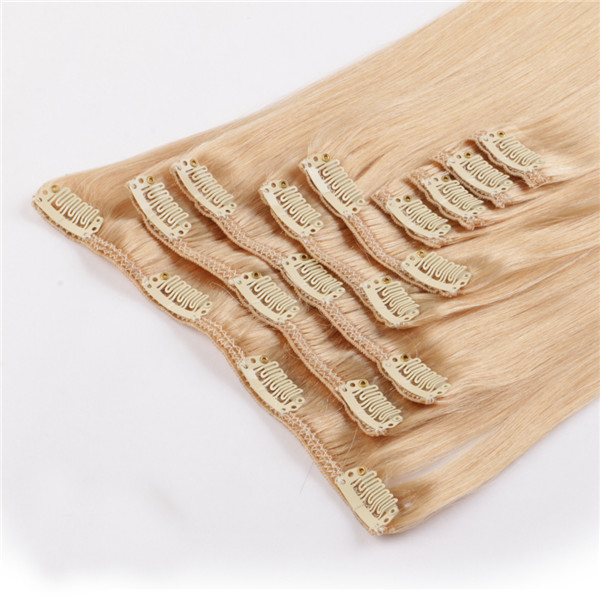 Best Quality Clip In Human Hair ExtensionsWJ065